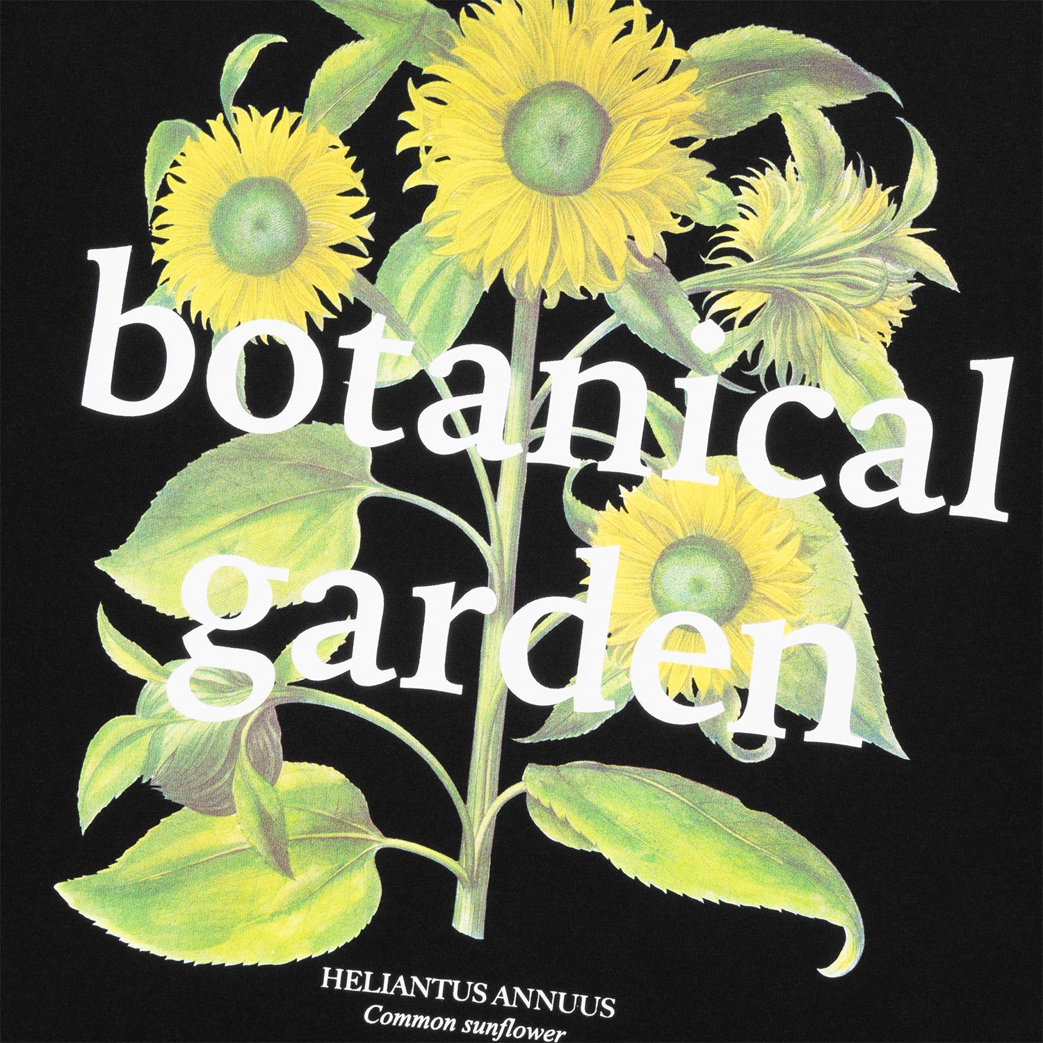 HUF (ハフ) Worldwide JP /T-SHIRTS(Tシャツ)/ SUNFLOWER TEE商品 / WHITE
