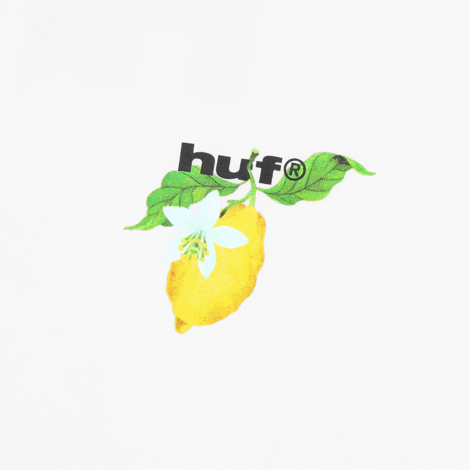 HUF (ハフ) Worldwide JP /T-SHIRTS(Tシャツ)/ SOUR LEMON TEE商品 / NAVY