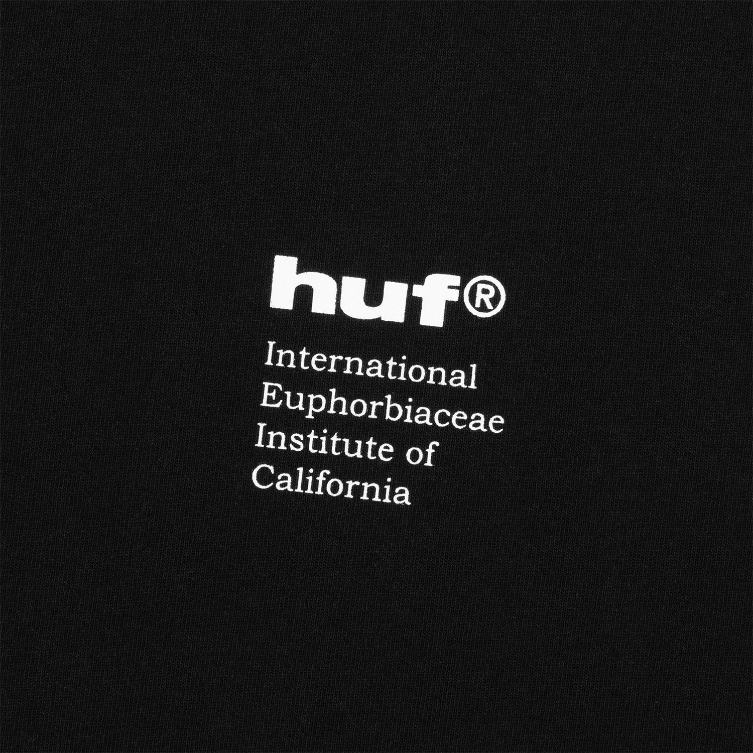 HUF (ハフ) Worldwide JP /T-SHIRTS(Tシャツ)/ IEIC GRAPHIC TEE商品 / WHITE