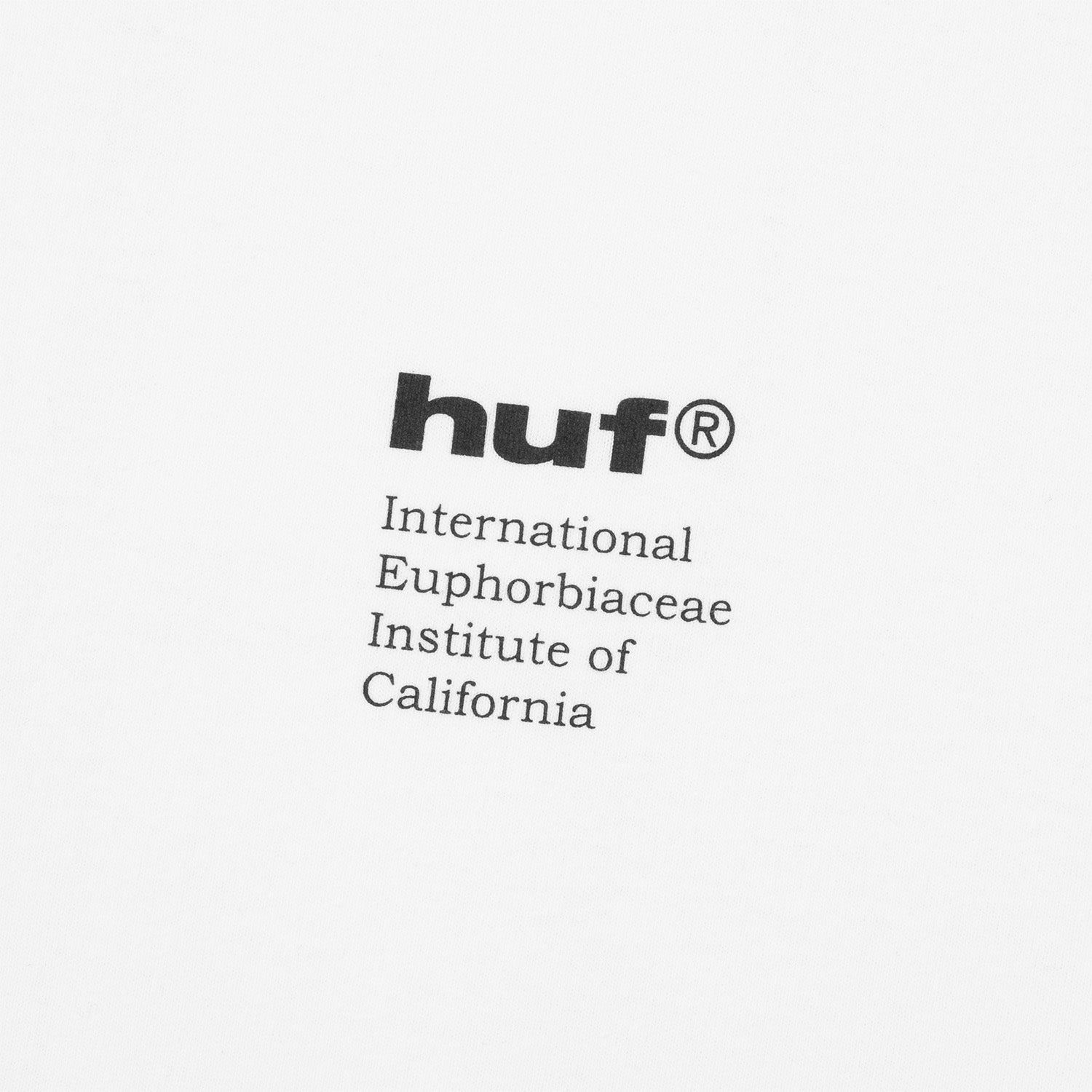 HUF (ハフ) Worldwide JP /T-SHIRTS(Tシャツ)/ IEIC GRAPHIC TEE商品 / WHITE