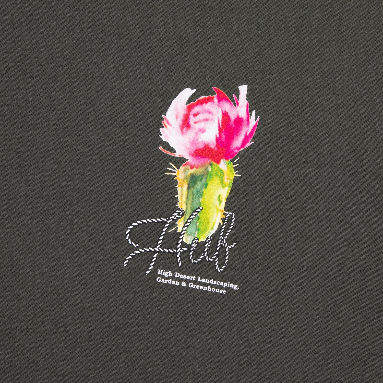 HUF (ハフ) Worldwide JP /T-SHIRTS(Tシャツ)/ DESERT ROSE LS TEE商品 / CHARCOAL