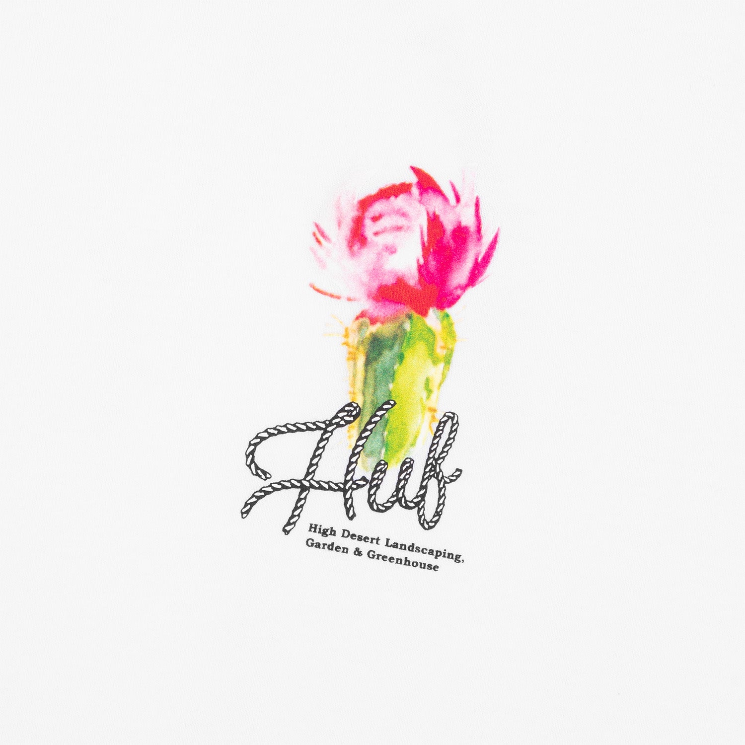 HUF (ハフ) Worldwide JP /T-SHIRTS(Tシャツ)/ DESERT ROSE LS TEE商品 / CHARCOAL