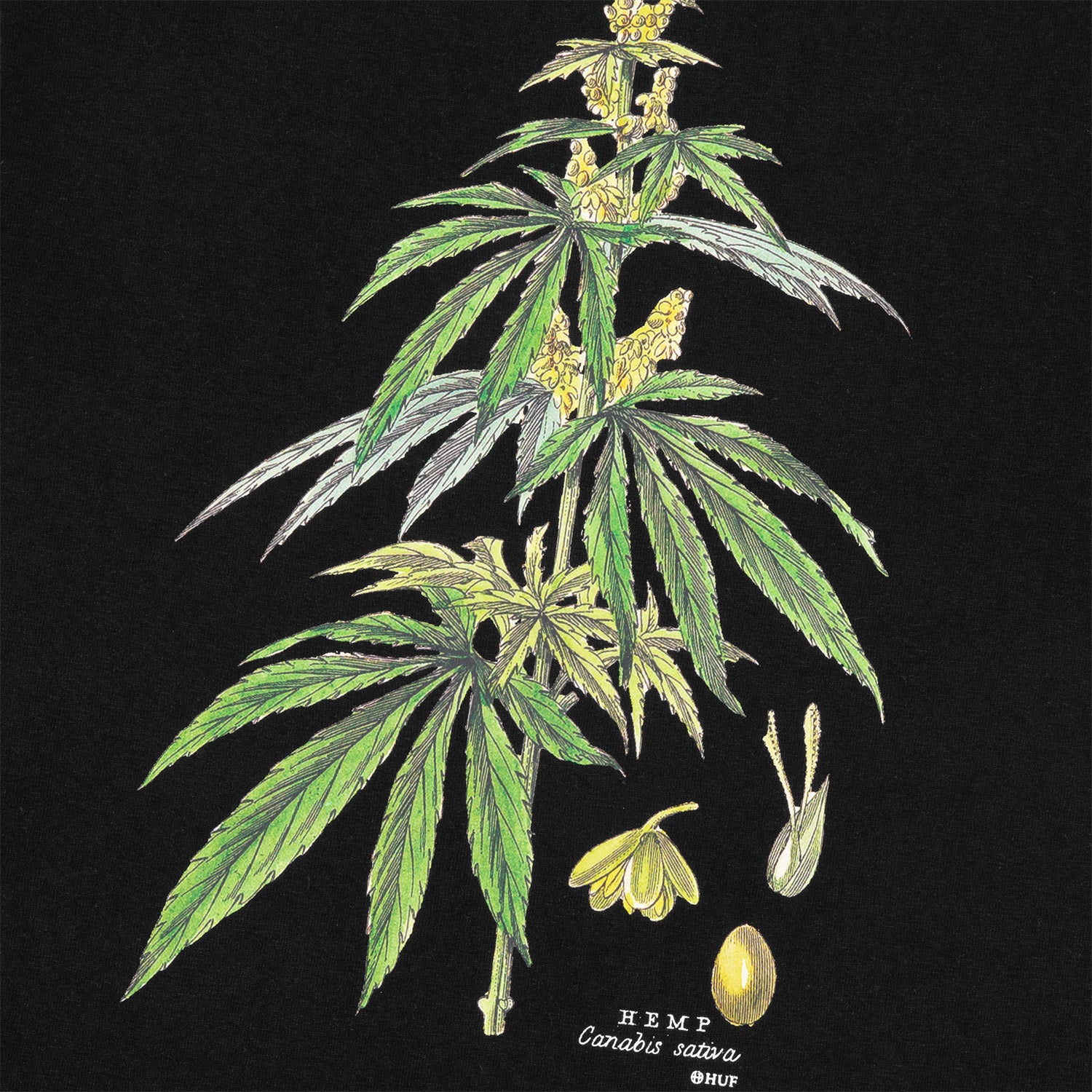 HUF (ハフ) Worldwide JP /T-SHIRTS(Tシャツ)/ huf CO-OP ARBORETUM TEE商品 / BLACK