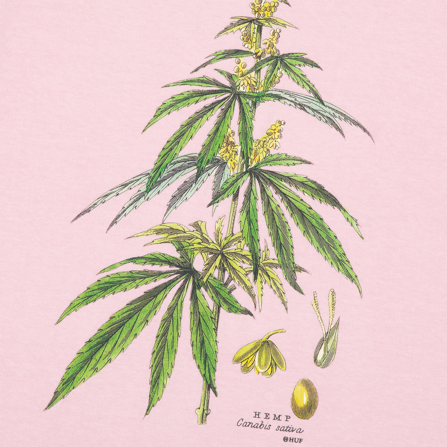 HUF (ハフ) Worldwide JP /T-SHIRTS(Tシャツ)/ huf CO-OP ARBORETUM TEE商品 / BLACK