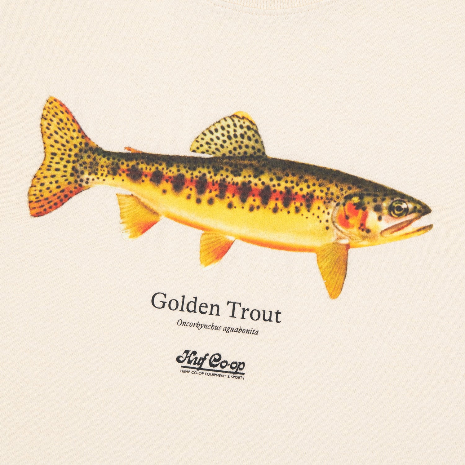 HUF (ハフ) Worldwide JP /T-SHIRTS(Tシャツ)/ huf CO-OP GOLDEN TROUT TEE商品 / NATURAL