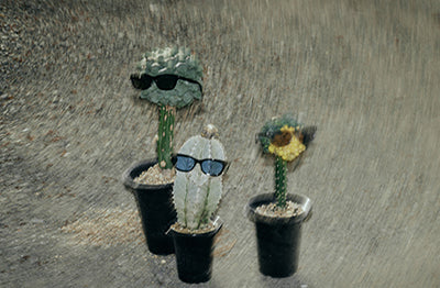 HUF EYEWEAR