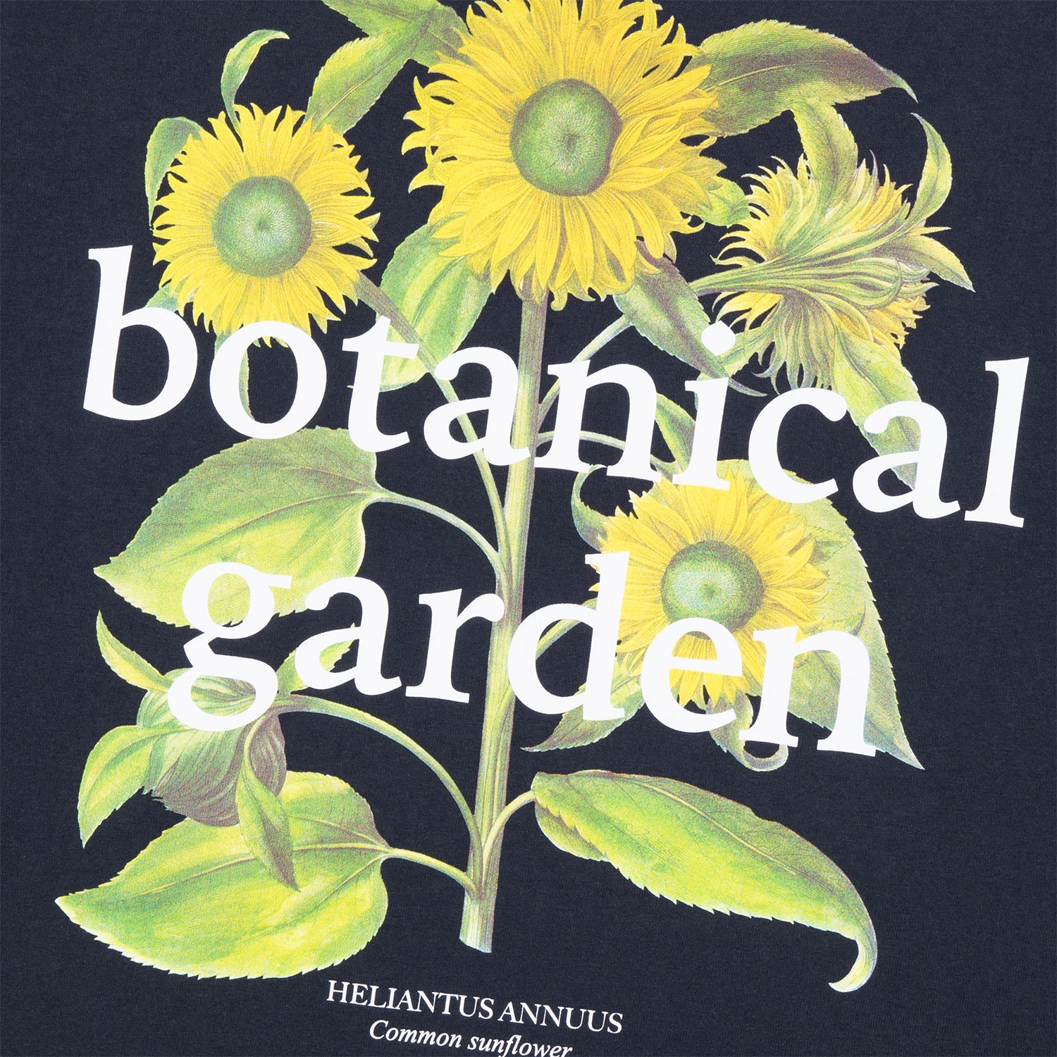 HUF (ハフ) Worldwide JP /T-SHIRTS（Tシャツ）/ SUNFLOWER TEE商品 / WHITE