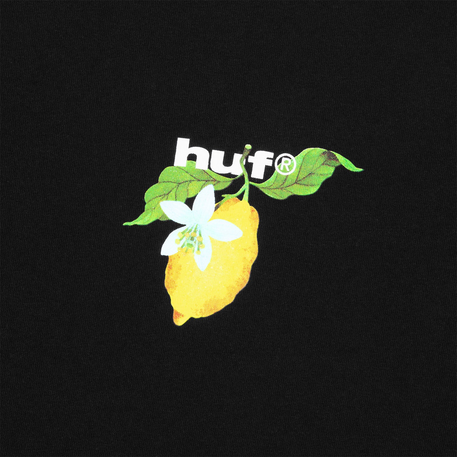 HUF (ハフ) Worldwide JP /T-SHIRTS（Tシャツ）/ SOUR LEMON TEE商品 / NAVY