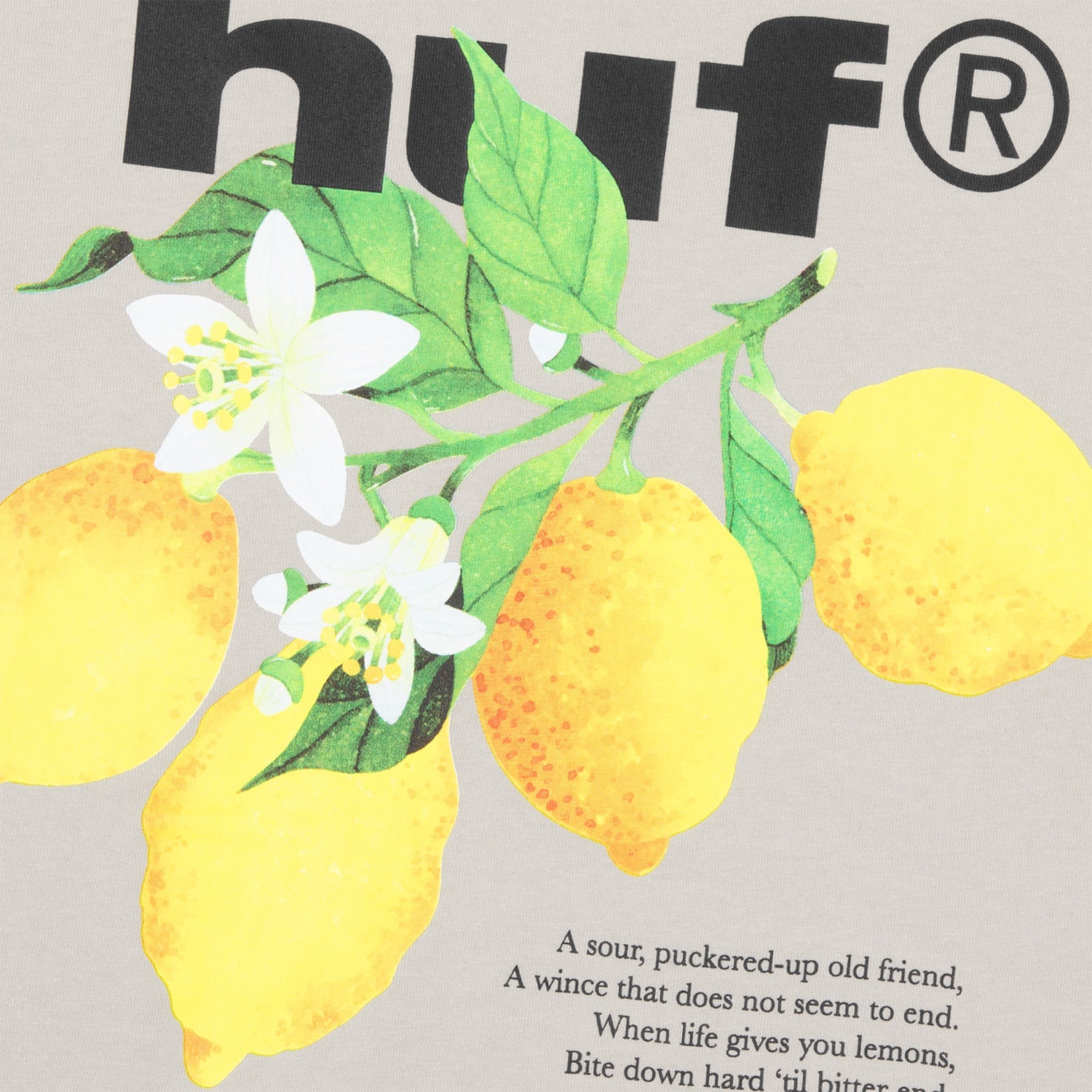 HUF (ハフ) Worldwide JP /T-SHIRTS（Tシャツ）/ SOUR LEMON TEE商品 / NAVY