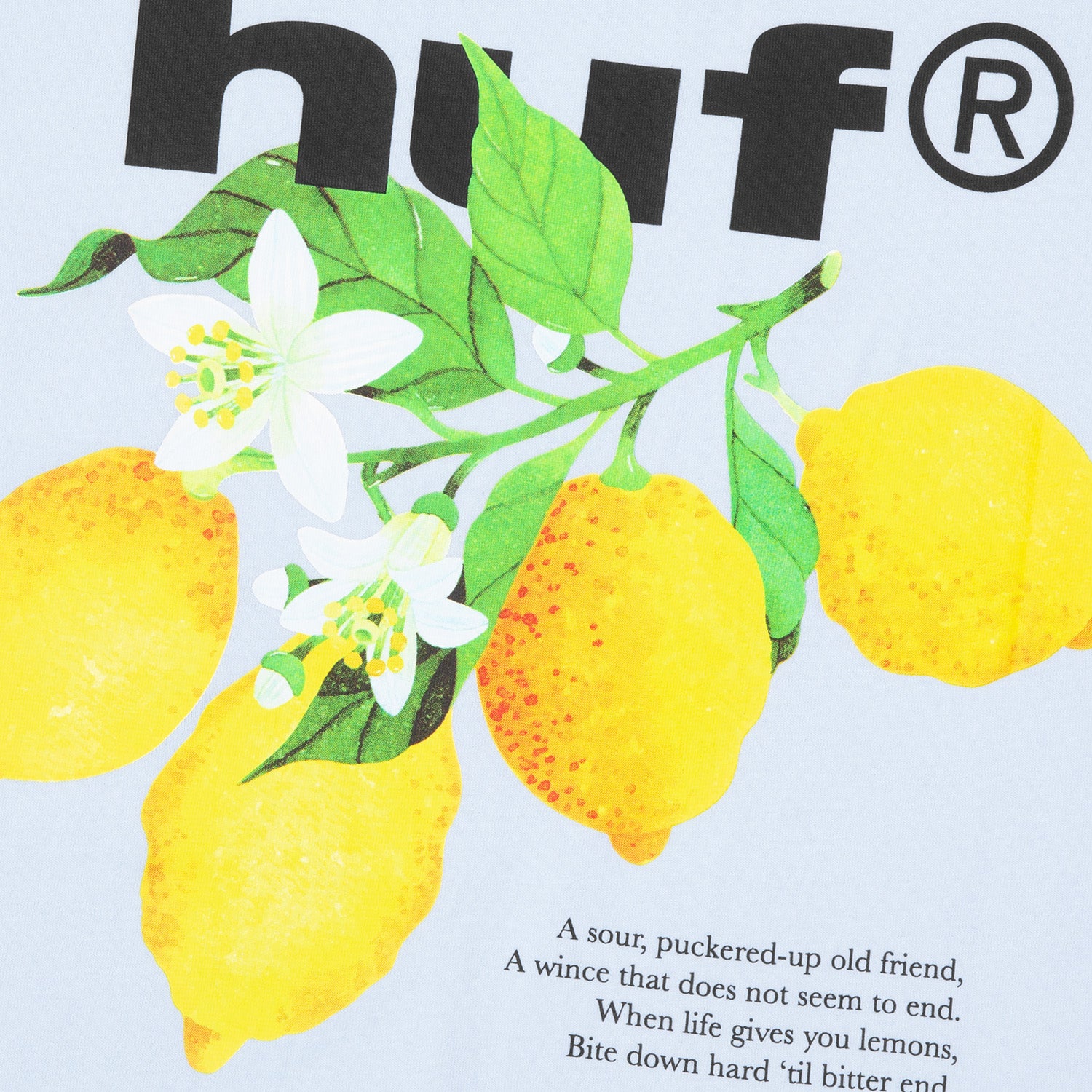 HUF (ハフ) Worldwide JP /T-SHIRTS（Tシャツ）/ SOUR LEMON TEE商品 / NAVY