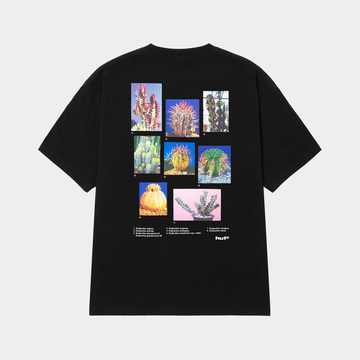 HUF (ハフ) Worldwide JP /T-SHIRTS（Tシャツ）/ IEIC GRAPHIC TEE商品 / WHITE