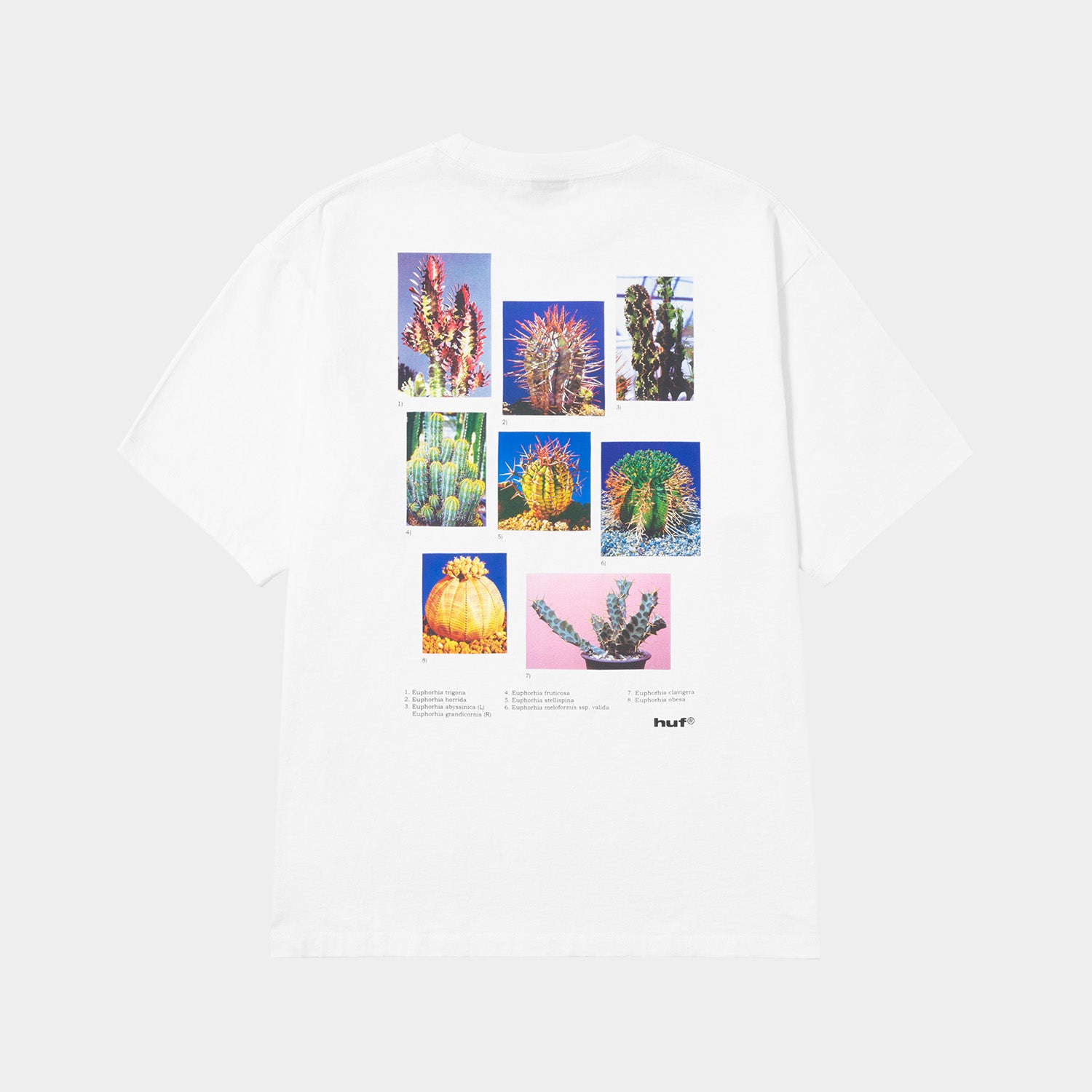 HUF (ハフ) Worldwide JP /T-SHIRTS（Tシャツ）/ IEIC GRAPHIC TEE商品 / WHITE