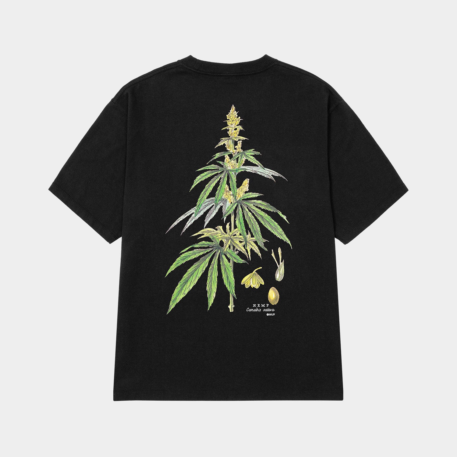 HUF (ハフ) Worldwide JP /T-SHIRTS（Tシャツ）/ huf CO-OP ARBORETUM TEE商品 / BLACK